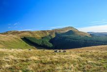 Owsen Fell